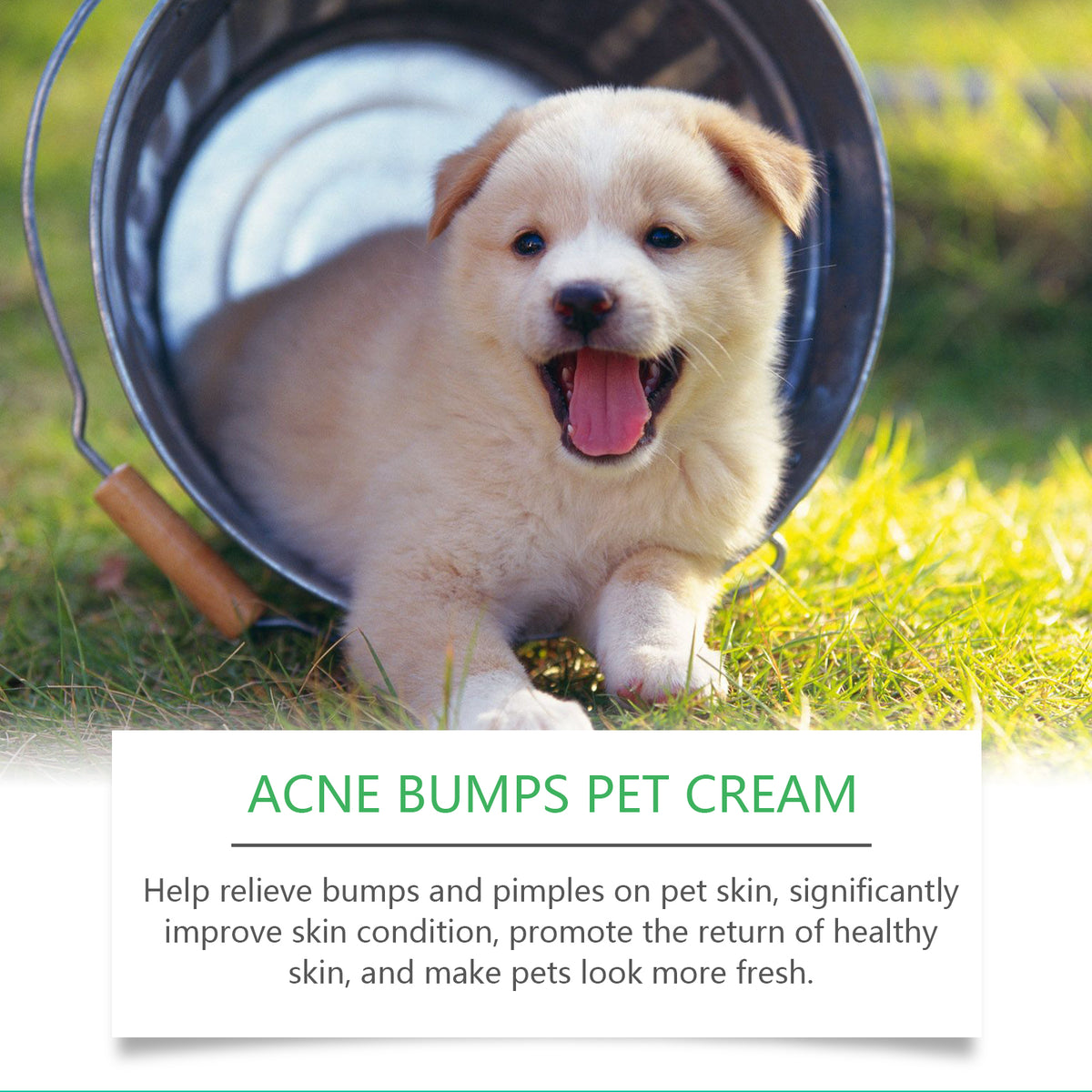 Yegbong Pet Skin Care Cream – Gentle Formula for Healthy Pet Skin & Coat