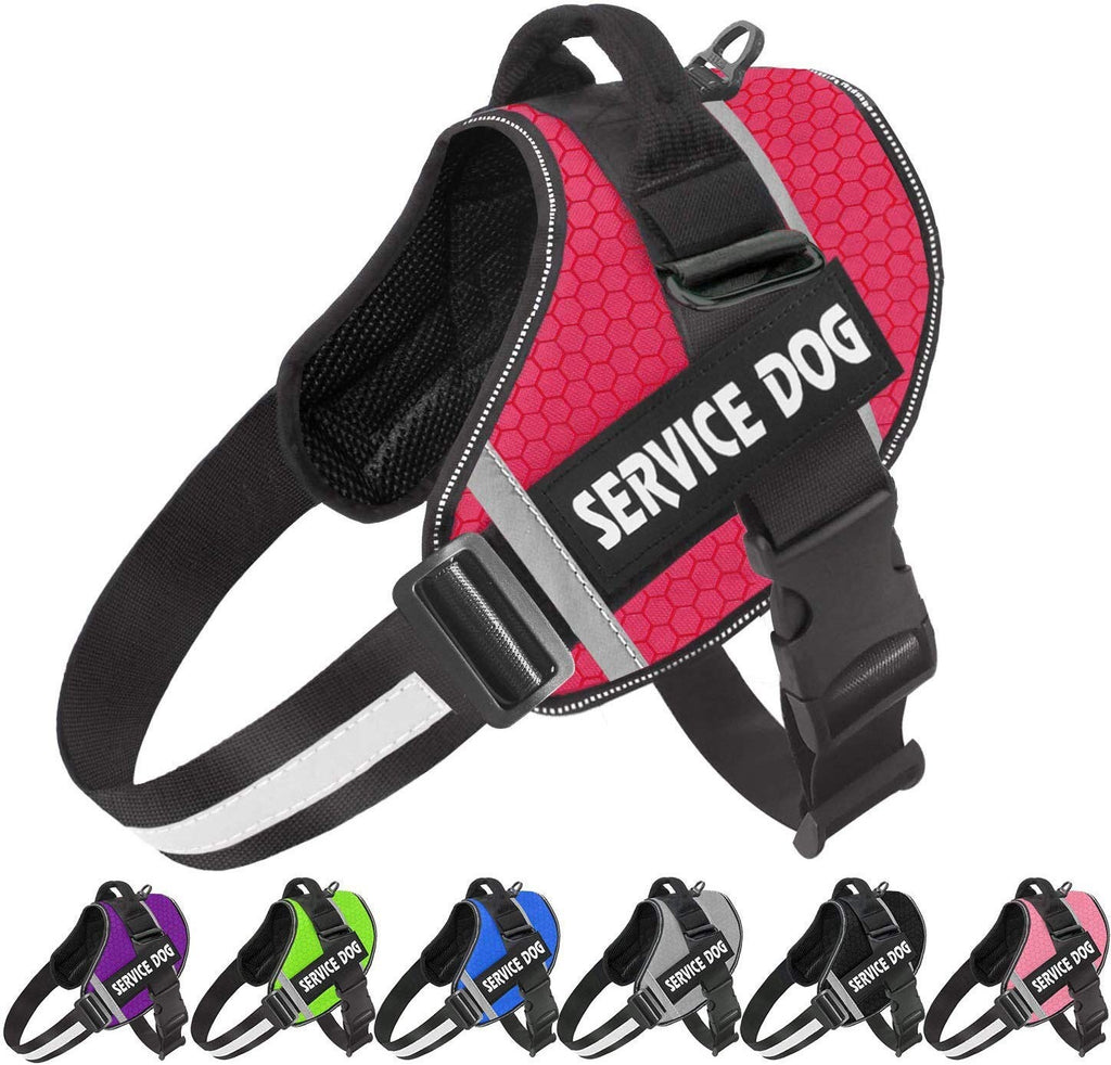 Reflective Dog Chest Harness & Leash – Breathable No-Pull Walking Vest