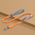 Reflective Dog Leash – Heavy Duty Adjustable Nylon Walking Rope