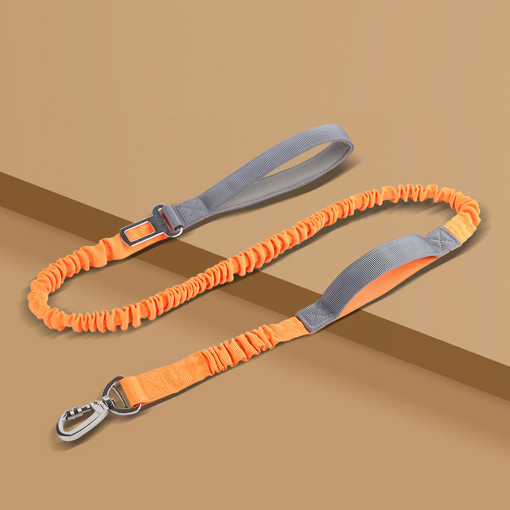 Reflective Dog Leash – Heavy Duty Adjustable Nylon Walking Rope