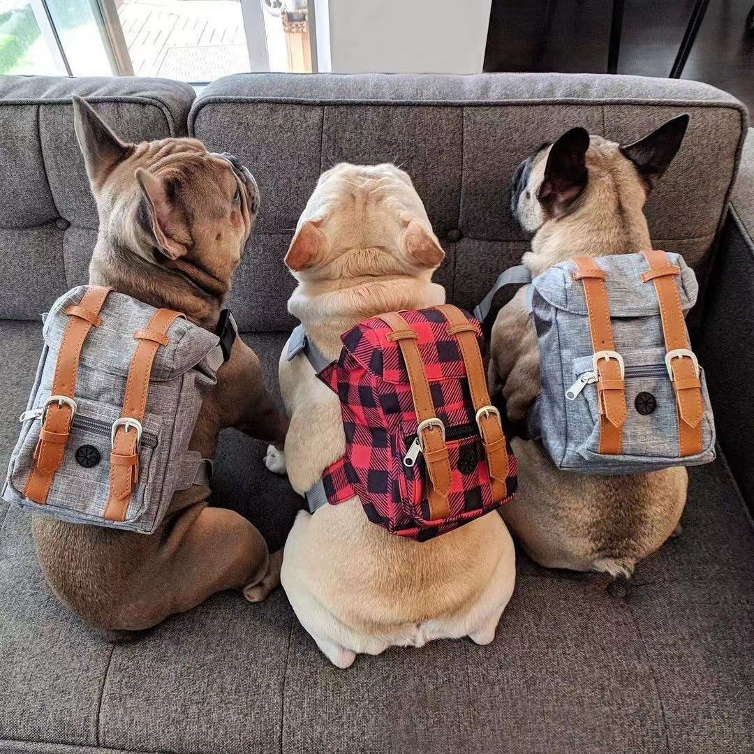 Portable Pet Backpack – Small Dog Schoolbag with Adjustable Straps