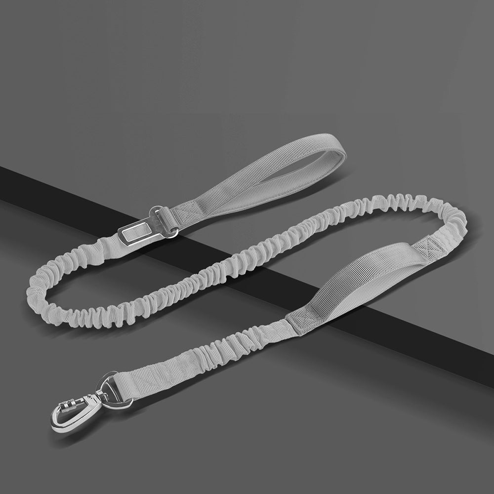 Reflective Dog Leash – Heavy Duty Adjustable Nylon Walking Rope