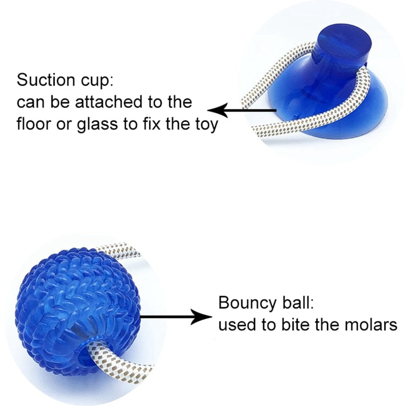 Suction Cup Dog Molar Toy – Interactive TPR Chew & Teeth Cleaning Toy