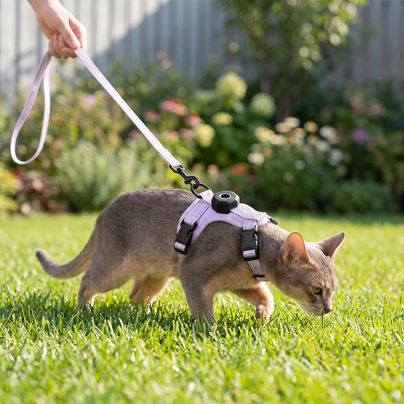 Escape-Proof Cat Harness with AirTag Holder – Reflective Walking Vest