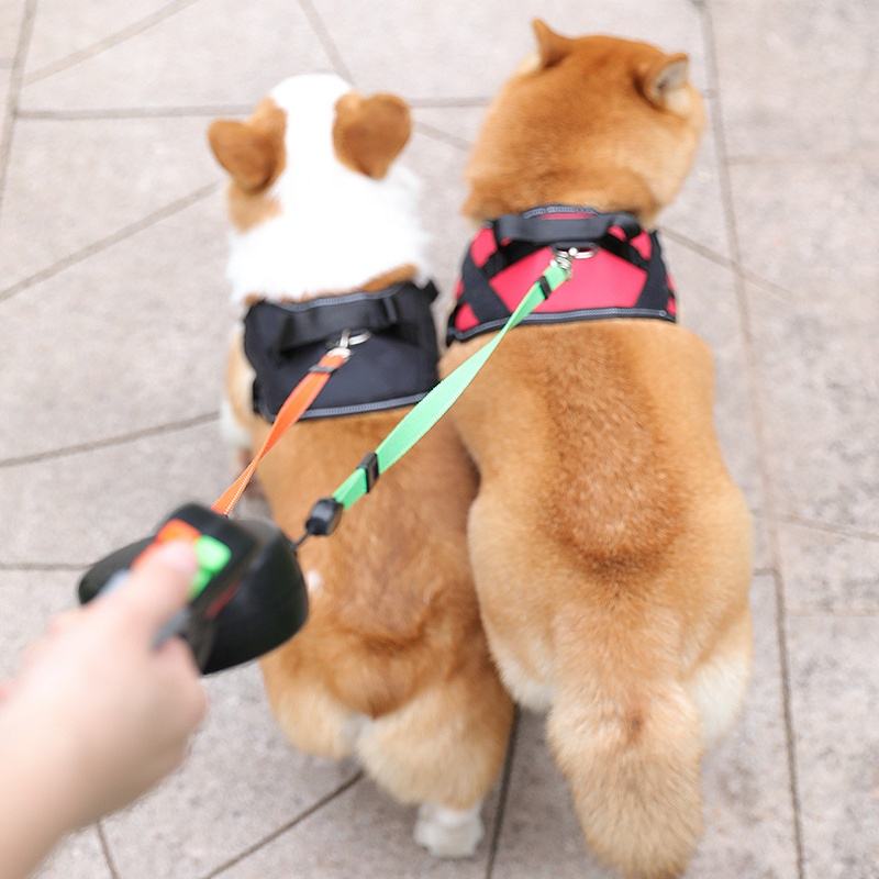 Double Dog Leash – Anti-Tangle Retractable Rope for Two Dogs