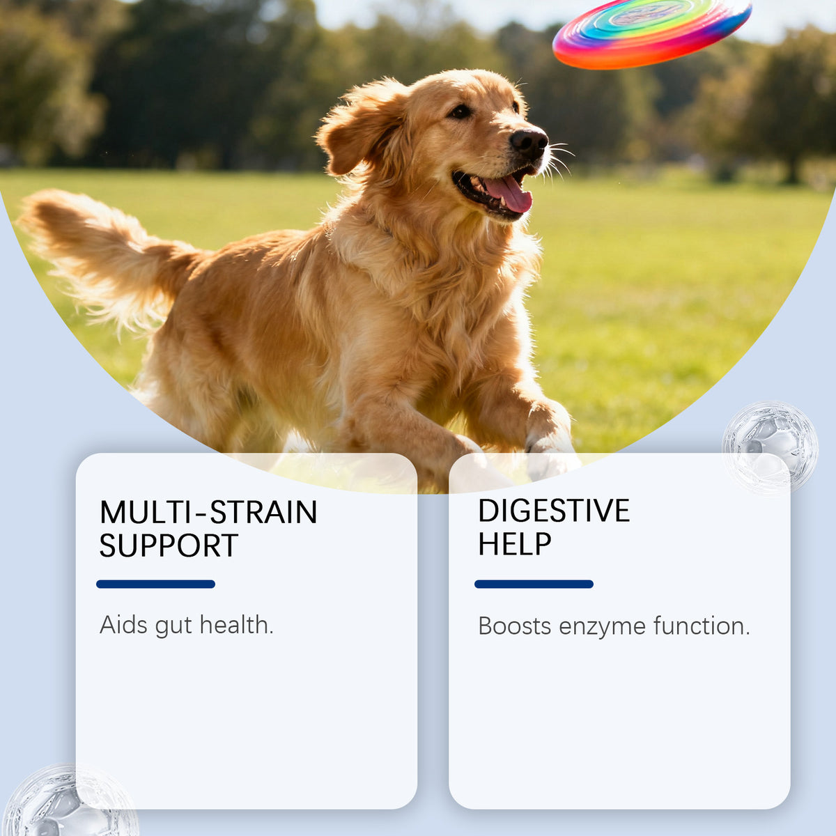 Dog Probiotic Supplement – Soft Granules for Digestive Health (200g)