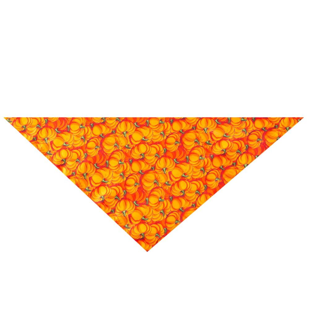 Pet Dog Bandana Set – Halloween & Christmas Scarf for Dogs & Cats