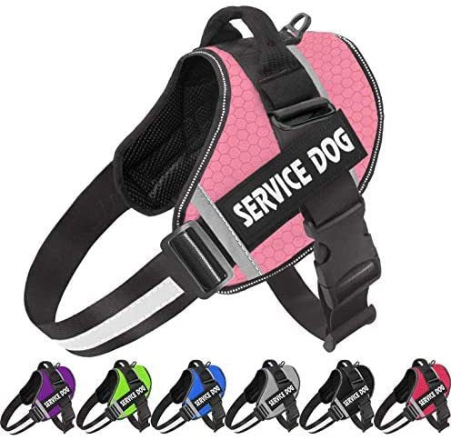 Reflective Dog Chest Harness & Leash – Breathable No-Pull Walking Vest