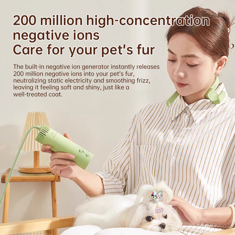 High Power Quiet Pet Hair Dryer – Fast Drying Dog Grooming Dryer