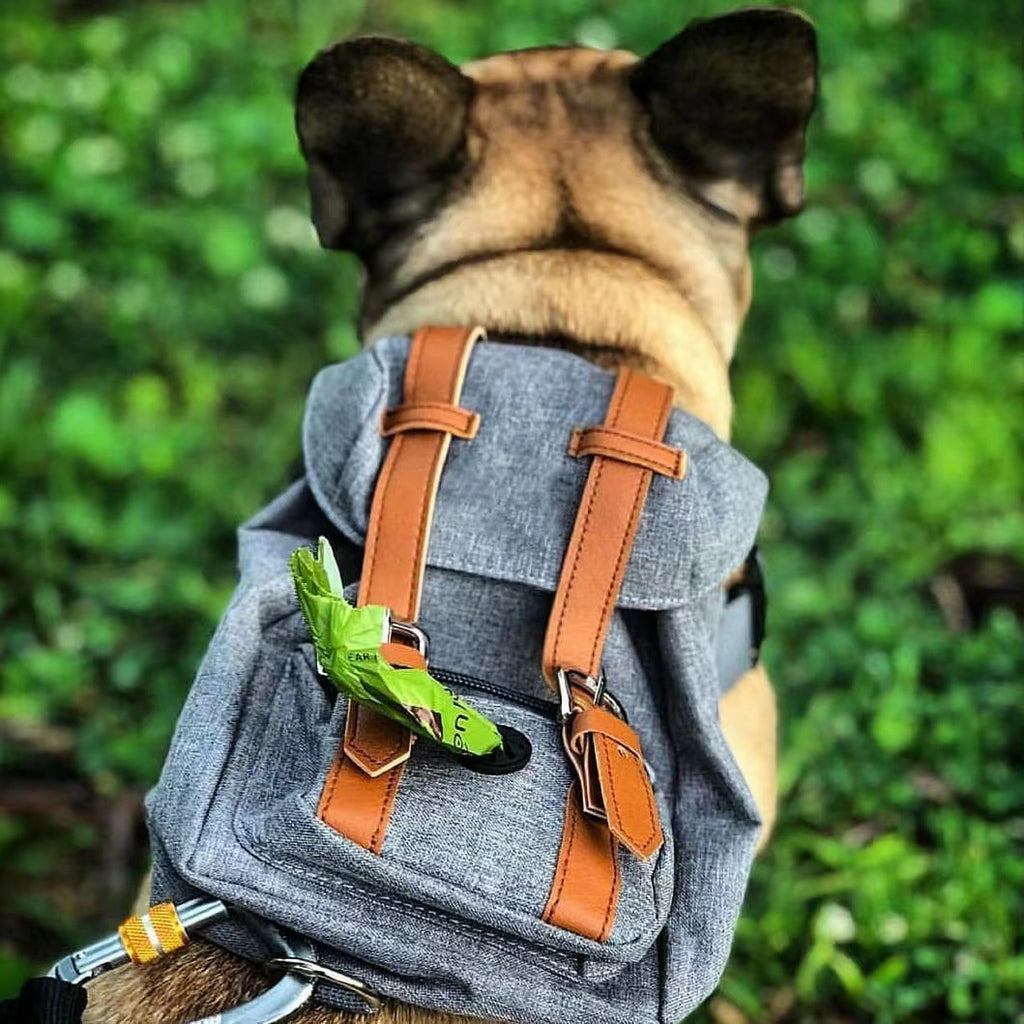 Portable Pet Backpack – Small Dog Schoolbag with Adjustable Straps