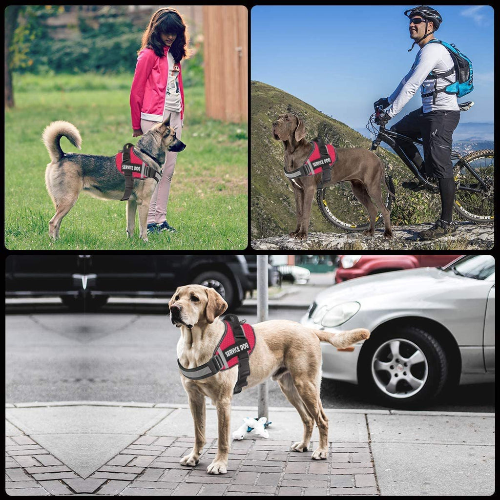 Reflective Dog Chest Harness & Leash – Breathable No-Pull Walking Vest