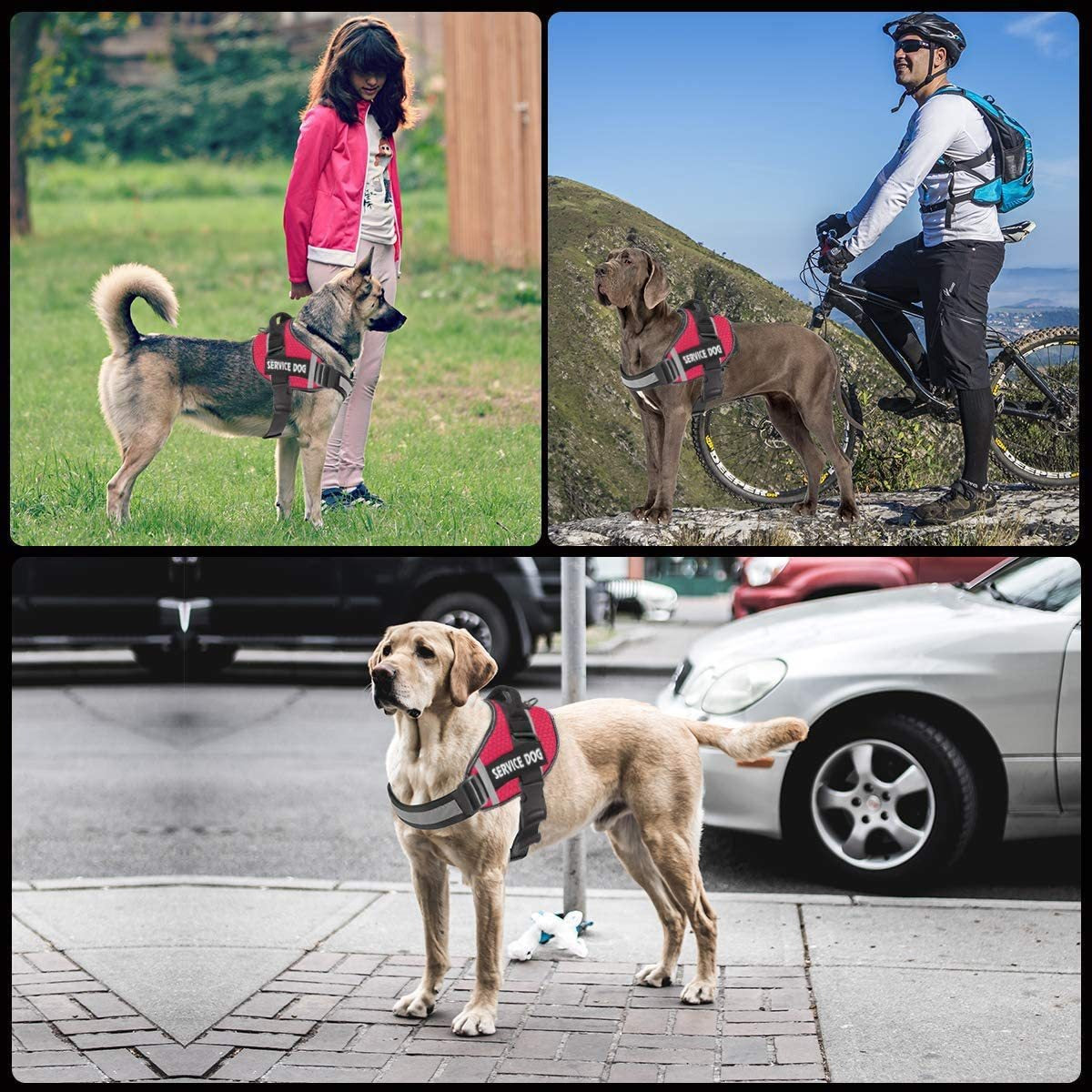 Reflective Dog Chest Harness & Leash – Breathable No-Pull Walking Vest