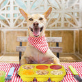 Silicone Frozen Dog Treat Molds – 6-Cavity Pupsicle Compatible Mold