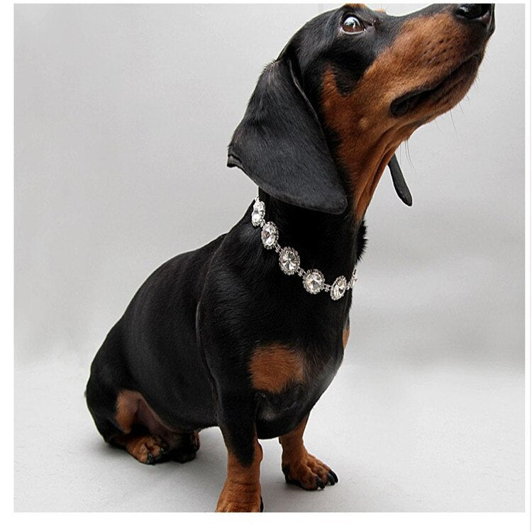 Pearl Necklace Pet Collar – Elegant Jewelry Collar for Dogs & Cats