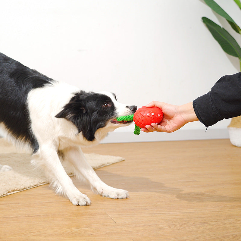 Rubber Squeaky Dog Molar Toy – Interactive Teeth Cleaning Chew Toy