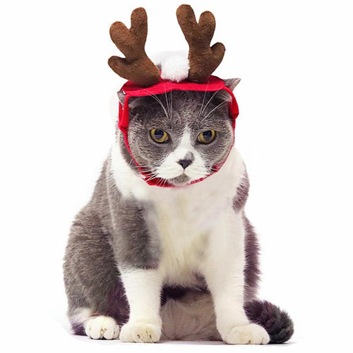 Christmas Dog Antler Headband – Festive Pet Deer Headdress for Cats & Dogs