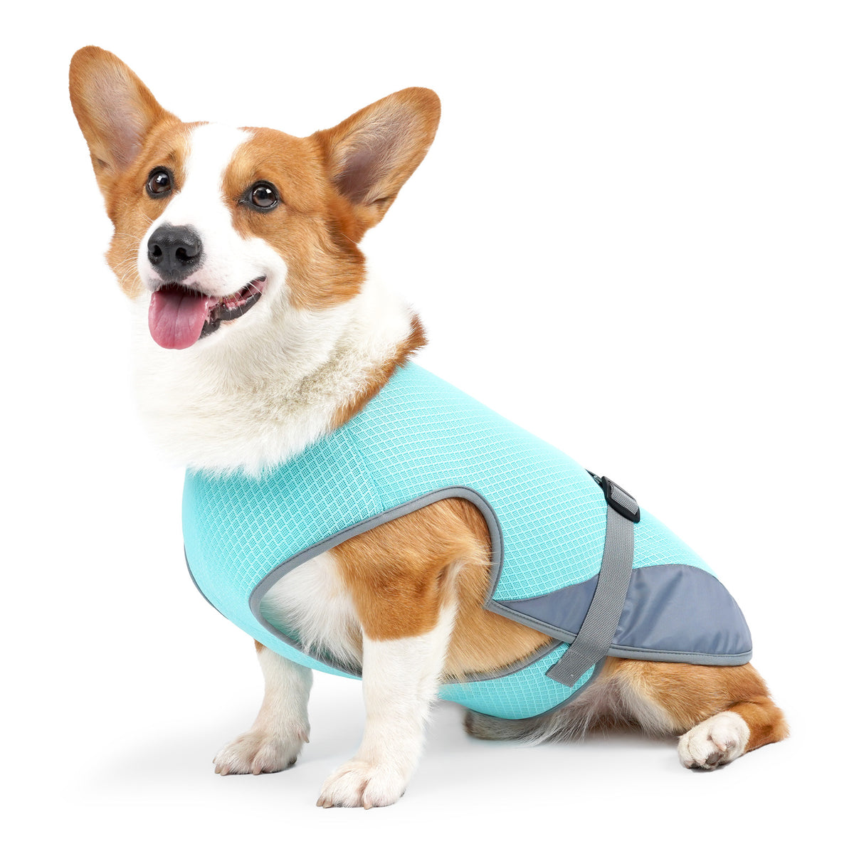 Dog Cooling Vest – Breathable Summer Harness Clothes for Dogs