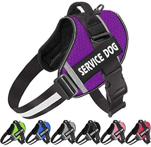Reflective Dog Chest Harness & Leash – Breathable No-Pull Walking Vest