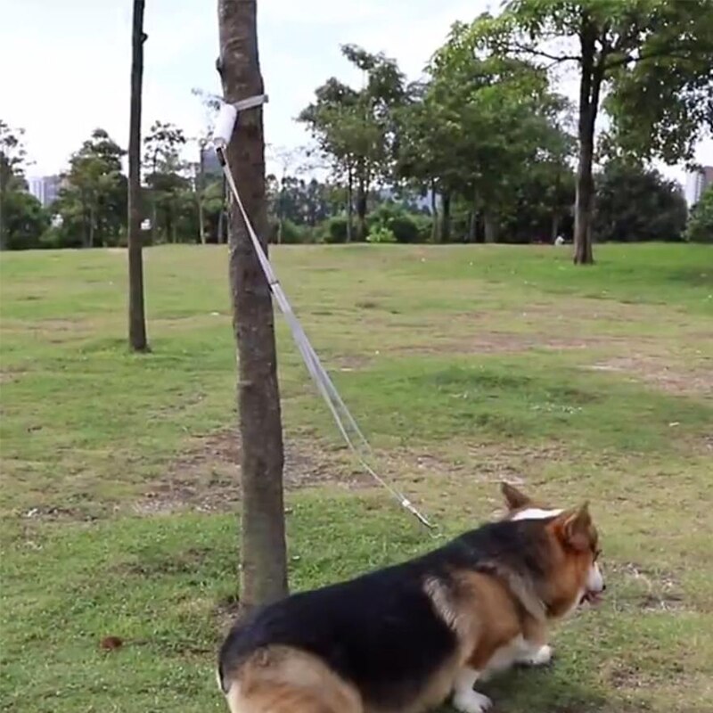 Reflective Anti-Lost Dog Leash – Elastic Walking Rope for Dogs