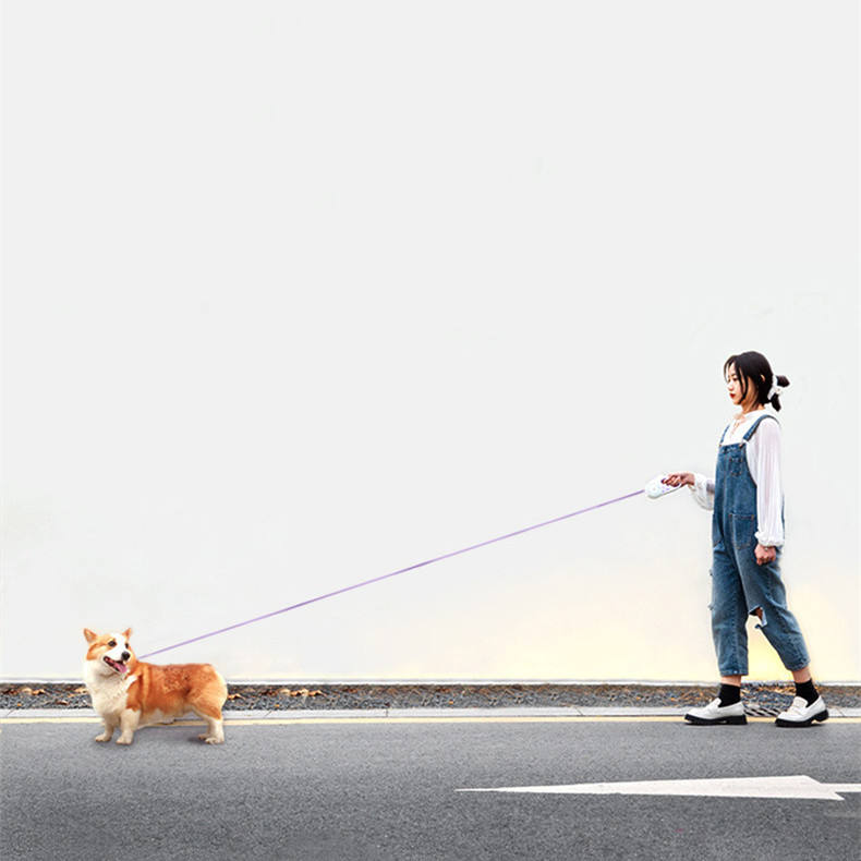Glowing Retractable Dog Leash – LED Light-Up Automatic Dog Lead
