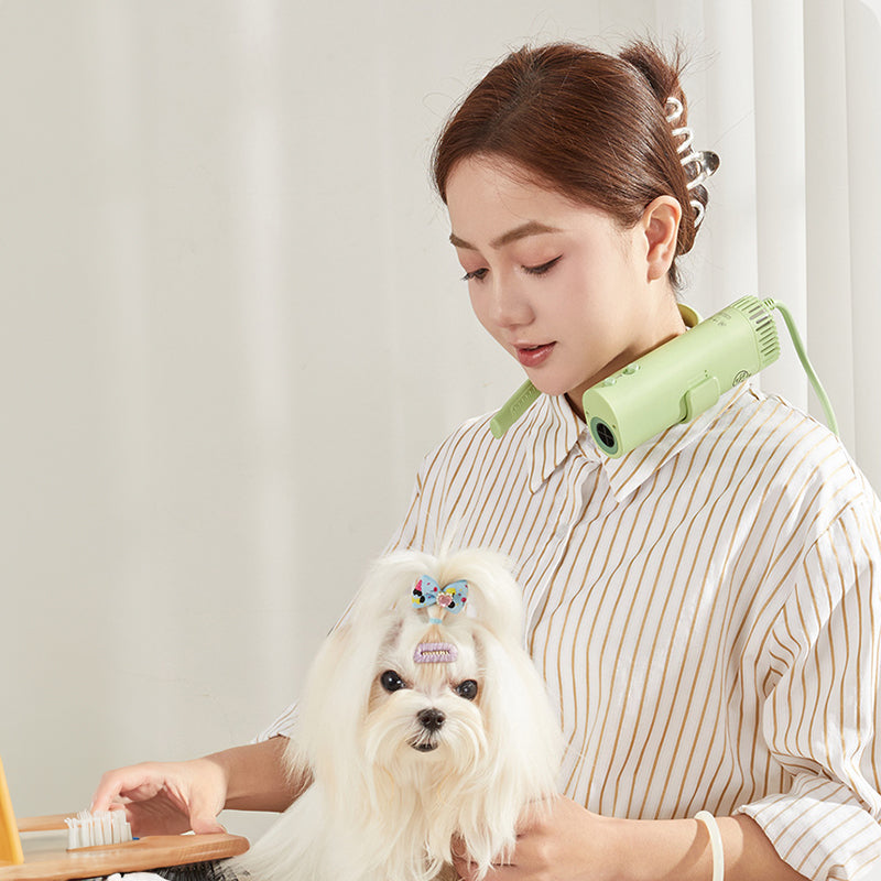High Power Quiet Pet Hair Dryer – Fast Drying Dog Grooming Dryer