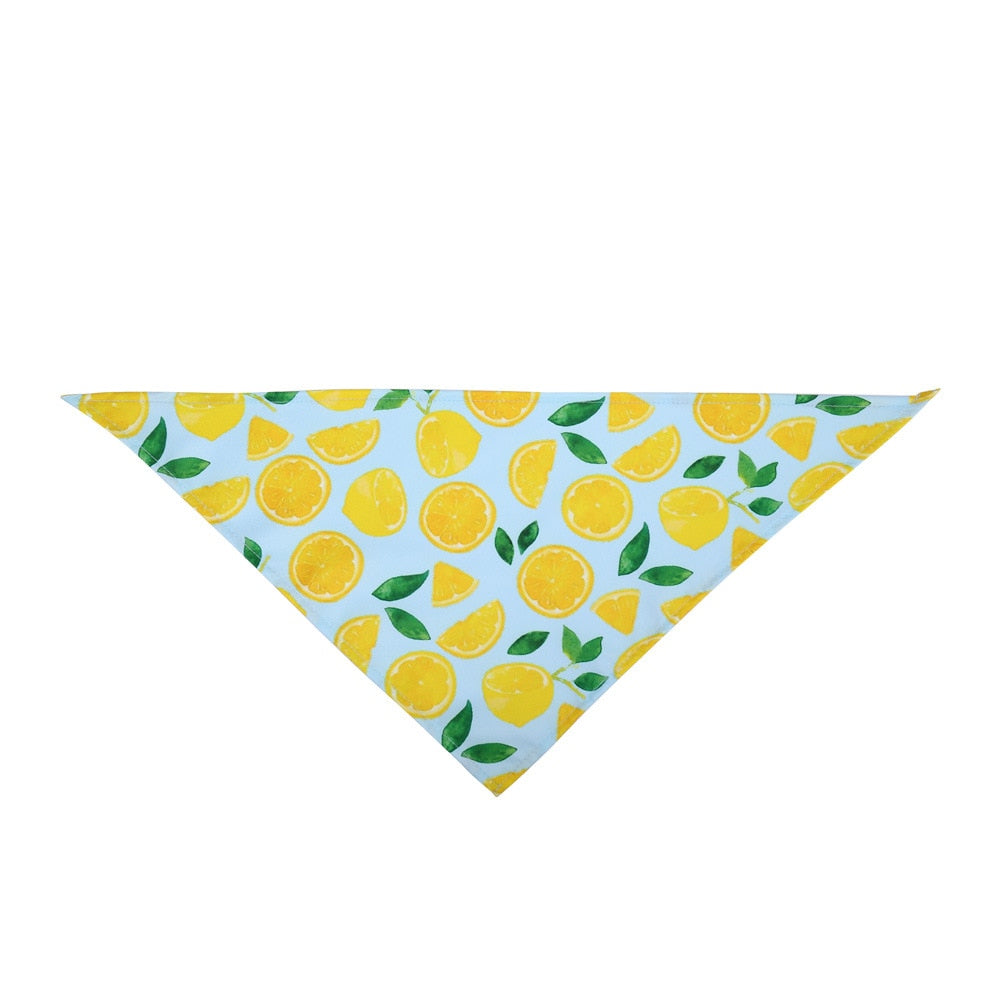 Fruit Print Dog Bandana – Adjustable Cotton Scarf for Dogs & Cats