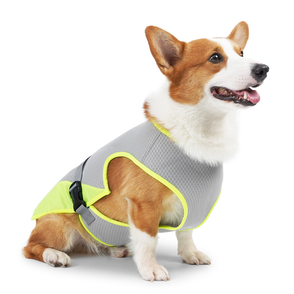 Dog Cooling Vest – Breathable Summer Harness Clothes for Dogs