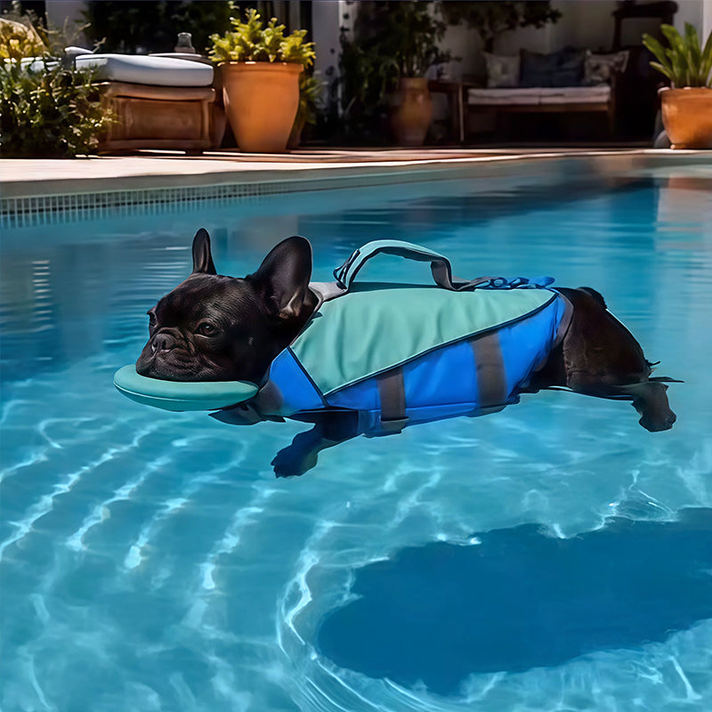 Dog Life Vest with Reflective Stripes – High Buoyancy Safety Jacket