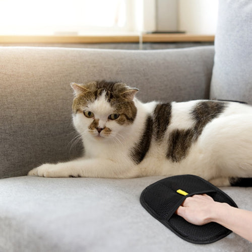 3-in-1 Pet Hair Removal Gloves – Deshedding & Grooming Gloves for Dogs & Cats