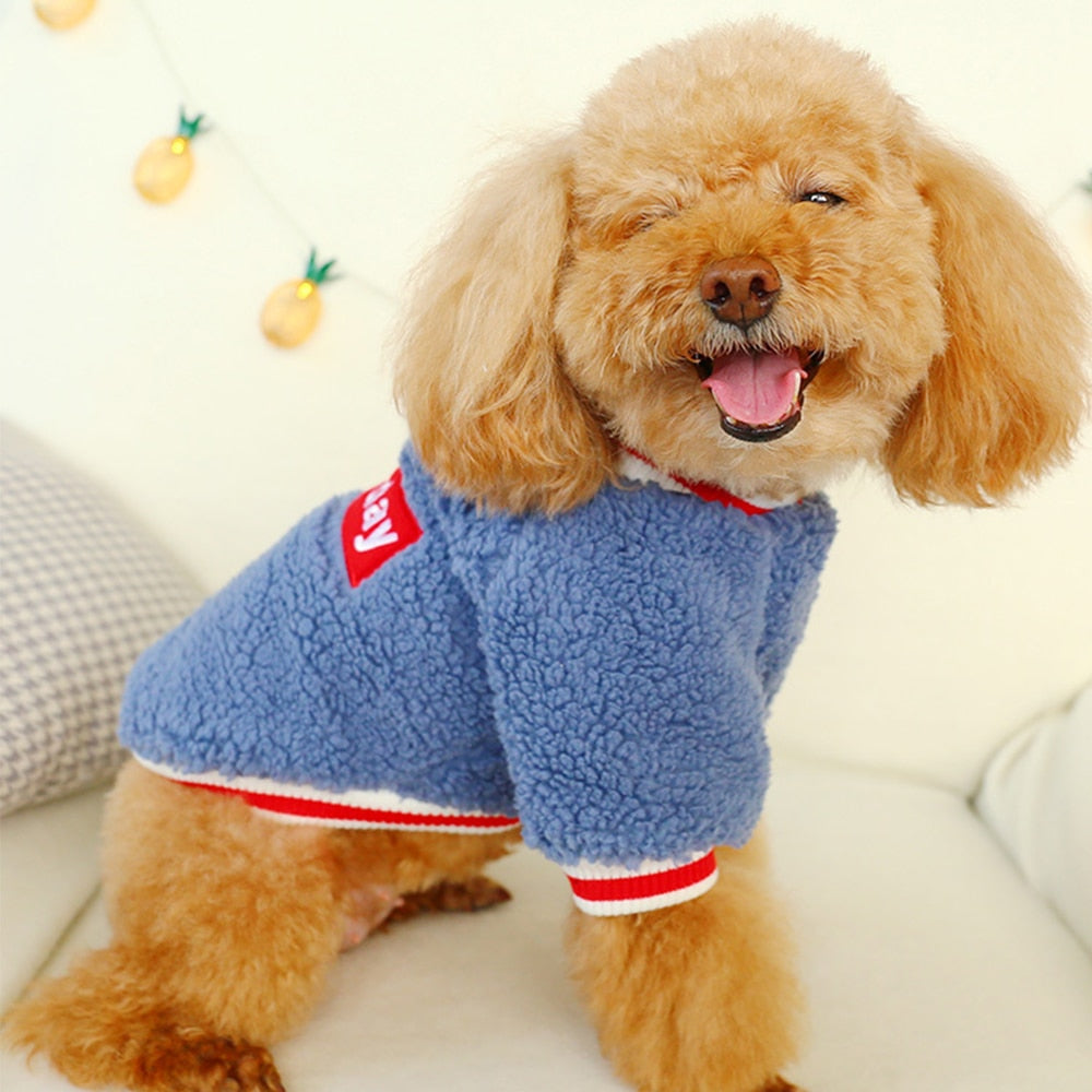 Soft Casual Pet Clothes – Comfortable Saturday Dog Outfit