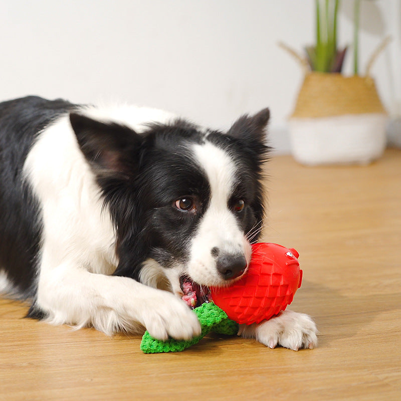 Rubber Squeaky Dog Molar Toy – Interactive Teeth Cleaning Chew Toy