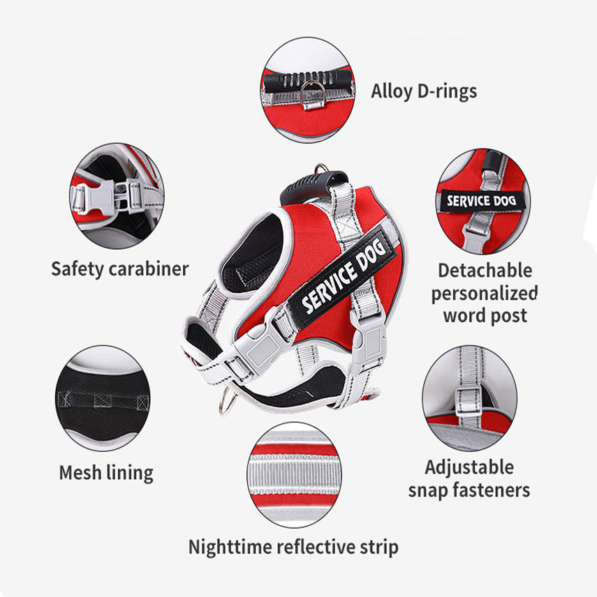 Large Dog Chest Harness & Leash Set – Heavy Duty Pet Walking Rope