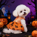 Laser Holographic Pet Costume – Shiny Party Festival Outfit for Dogs & Cats