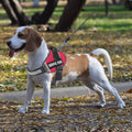 Reflective Dog Chest Harness & Leash – Breathable No-Pull Walking Vest