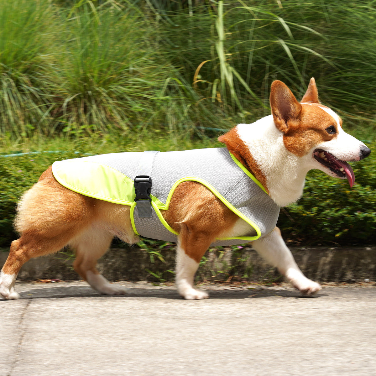 Dog Cooling Vest – Breathable Summer Harness Clothes for Dogs