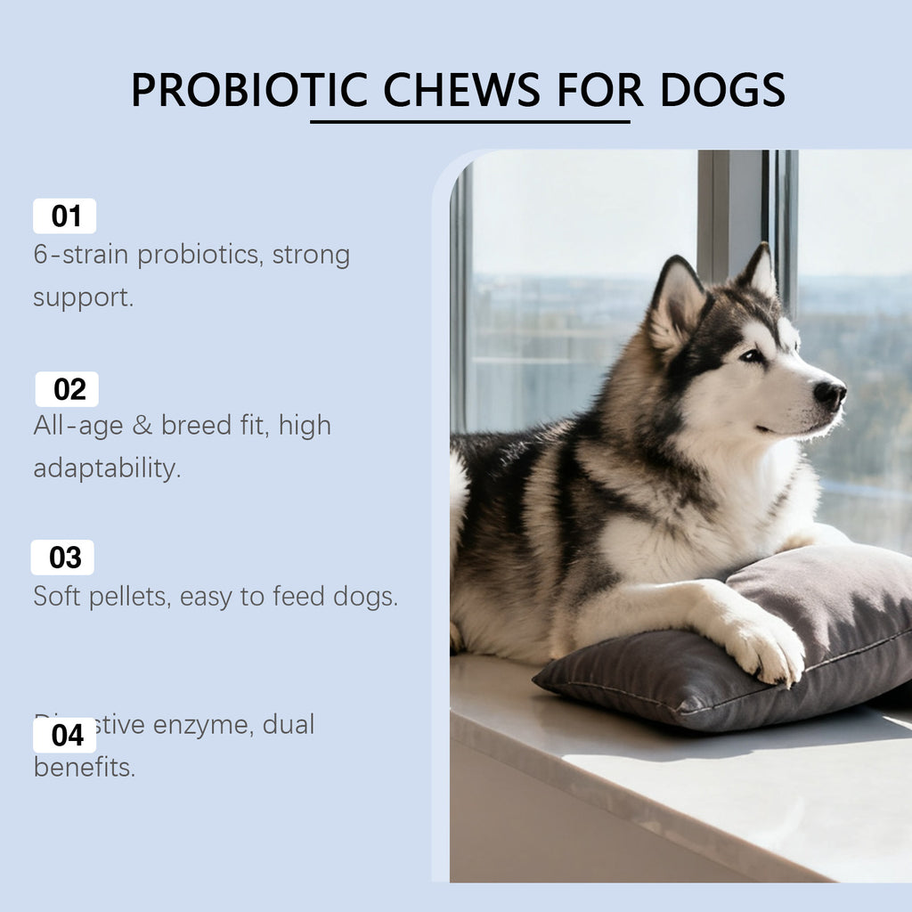 Dog Probiotic Supplement – Soft Granules for Digestive Health (200g)