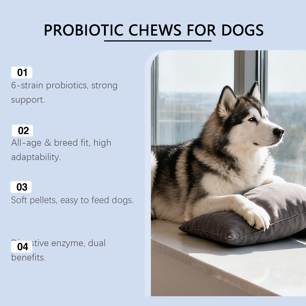 Dog Probiotic Supplement – Soft Granules for Digestive Health (200g)