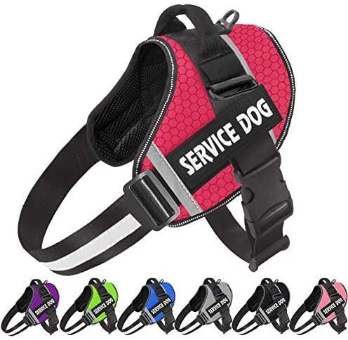 Reflective Dog Chest Harness & Leash – Breathable No-Pull Walking Vest