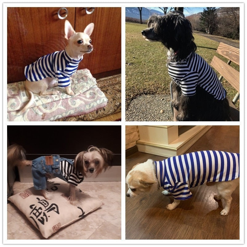Summer Dog T-Shirt – Cotton Vest Pet Clothes for Small Dogs & Cats