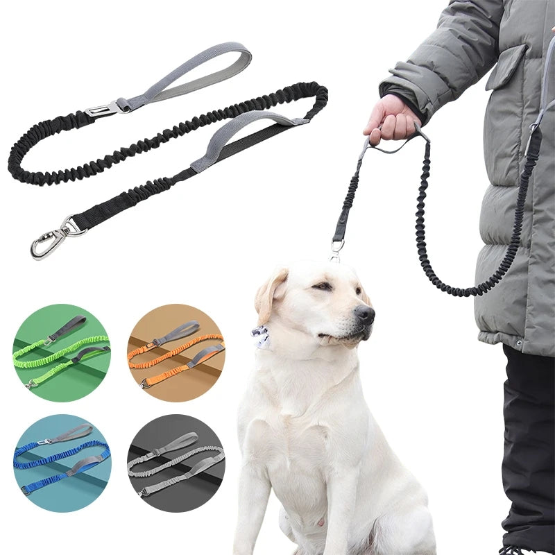 Reflective Dog Leash – Heavy Duty Adjustable Nylon Walking Rope