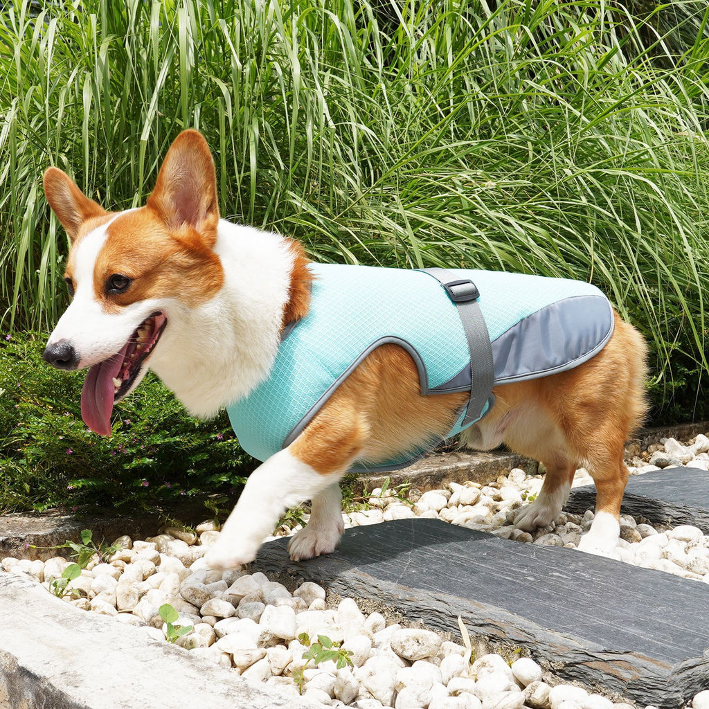 Dog Cooling Vest – Breathable Summer Harness Clothes for Dogs