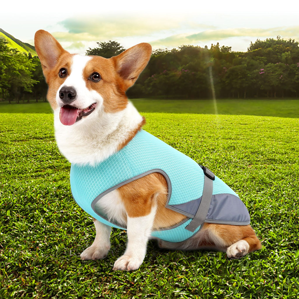 Dog Cooling Vest – Breathable Summer Harness Clothes for Dogs