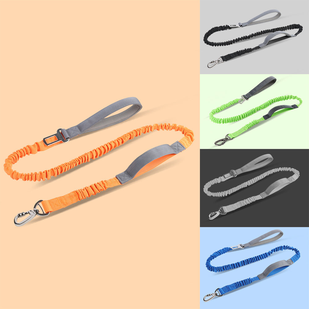 Reflective Dog Leash – Heavy Duty Adjustable Nylon Walking Rope