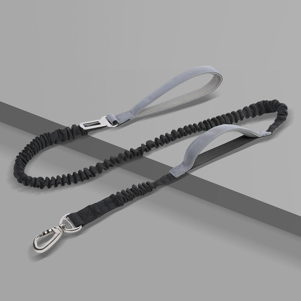 Reflective Dog Leash – Heavy Duty Adjustable Nylon Walking Rope
