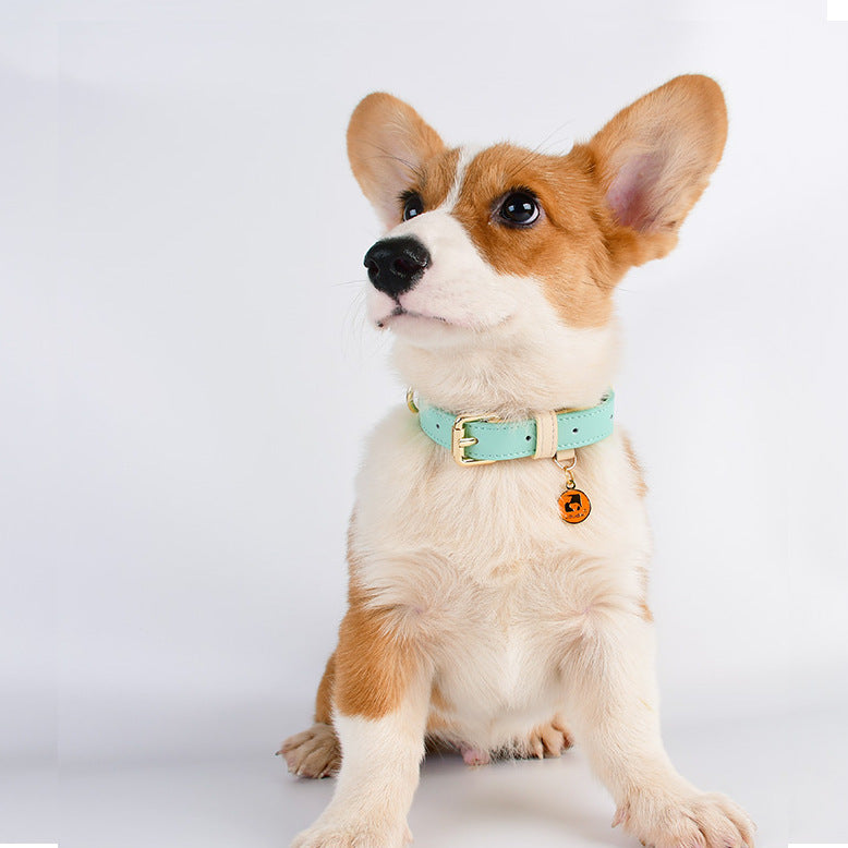 Genuine Leather Dog Collar – Durable Pet Leash for Small to Large Dogs