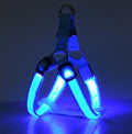 LED Luminous Dog Chest Harness – Glowing Night Safety Leash for Dogs