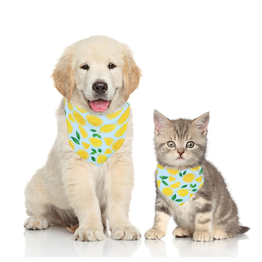 Fruit Print Dog Bandana – Adjustable Cotton Scarf for Dogs & Cats