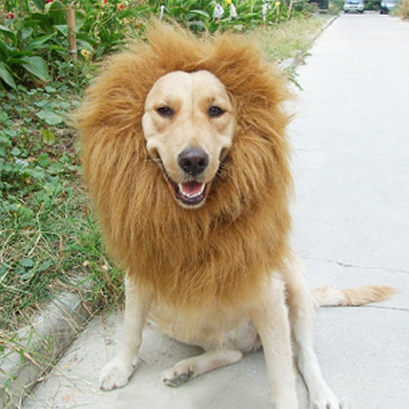 Pet Lion Wig Hat – Funny Dog Lion Mane Headgear Costume