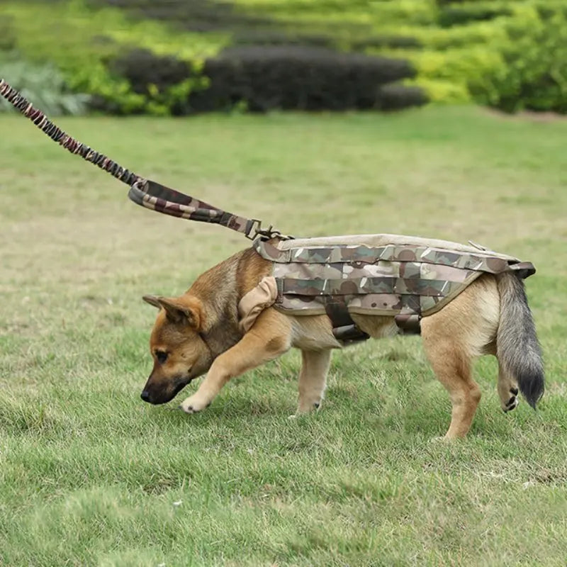 Tactical Dog Leash – Heavy Duty Military Nylon Training Rope